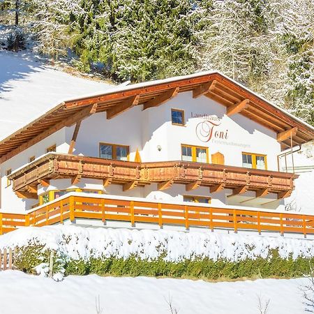 Landhaus Toni Apartment Neustift im Stubaital Exterior photo